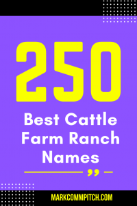 ranch name ideas